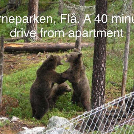 Garden Apartment In Gol Dış mekan fotoğraf