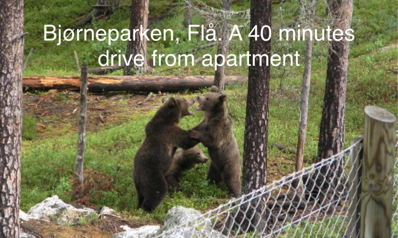 Garden Apartment In Gol Dış mekan fotoğraf